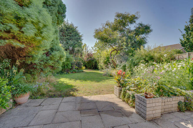 Garden (1)