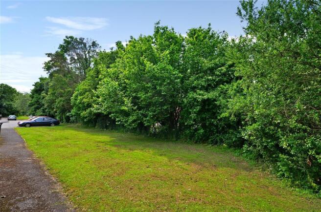 Surrounding Area