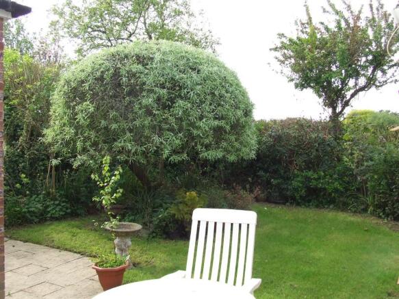 Photo 11