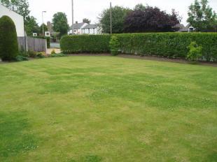Front Garden