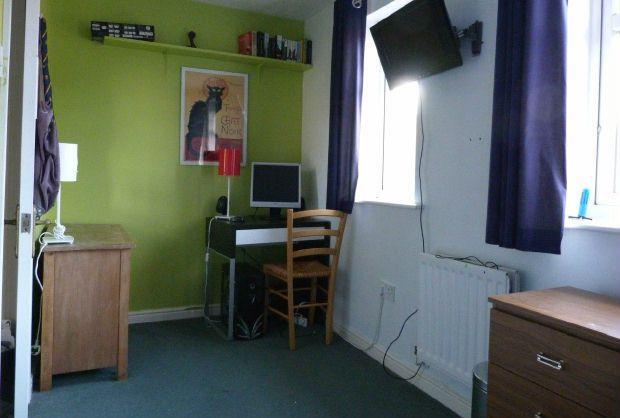 Photo 6