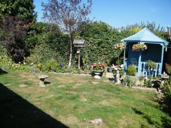 Sunny Aspect