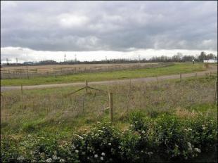 VIEWS OVER FIELD