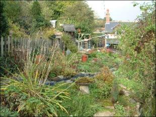 Garden 3