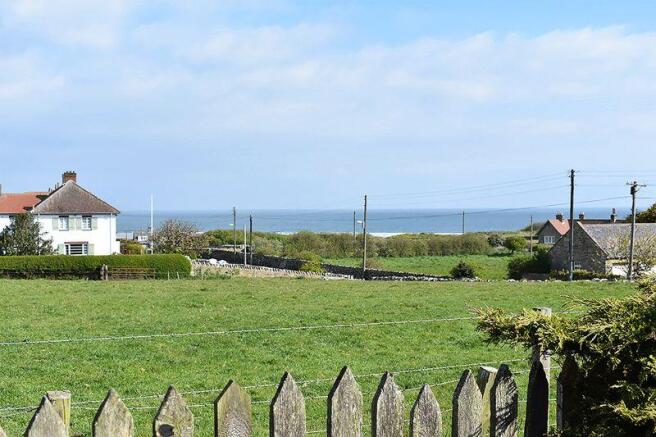 view from garden 