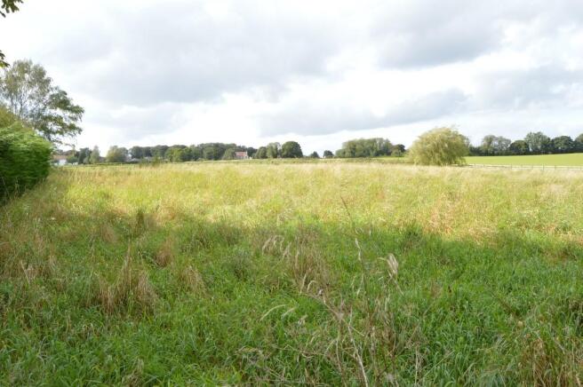 Grass paddock