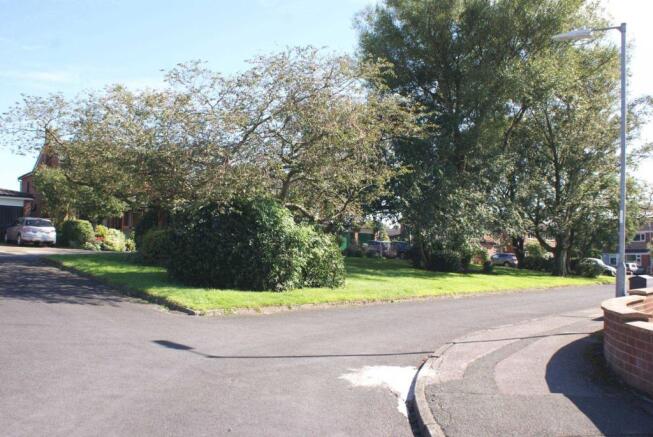 Surrounding Area