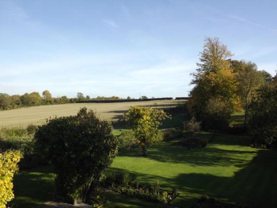 Garden/View