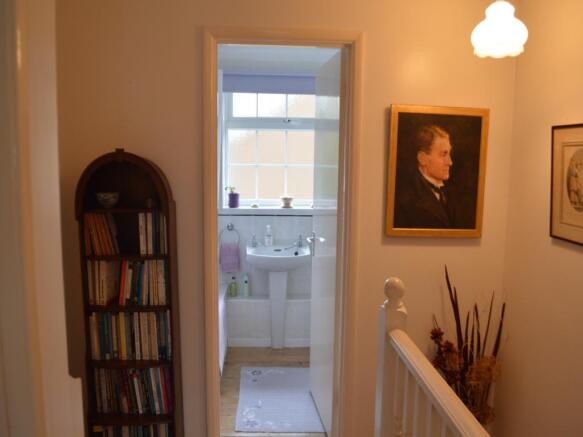 Image 4