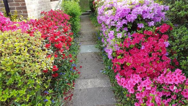 Garden Path