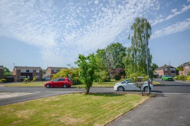 Front garden.jpg