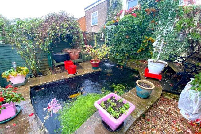 Pond