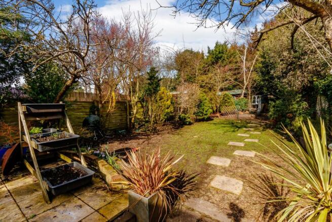 garden