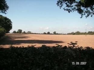 View from Garden