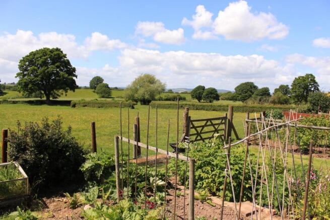 Rear Garden View 2