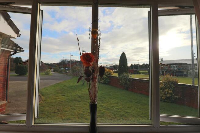 Living Room View