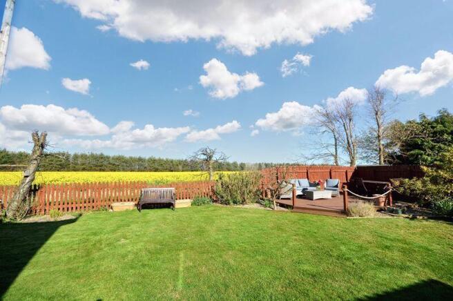Rear garden