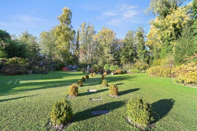 Down Garden