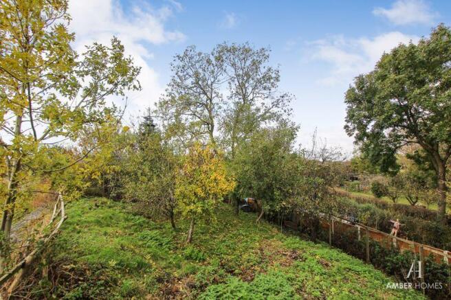 Orchard 