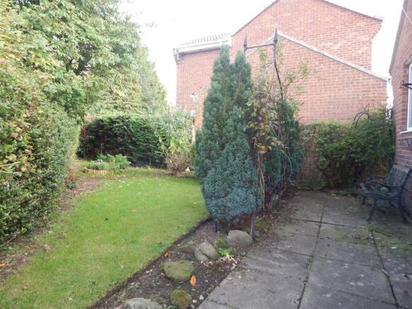 rear garden.JPG
