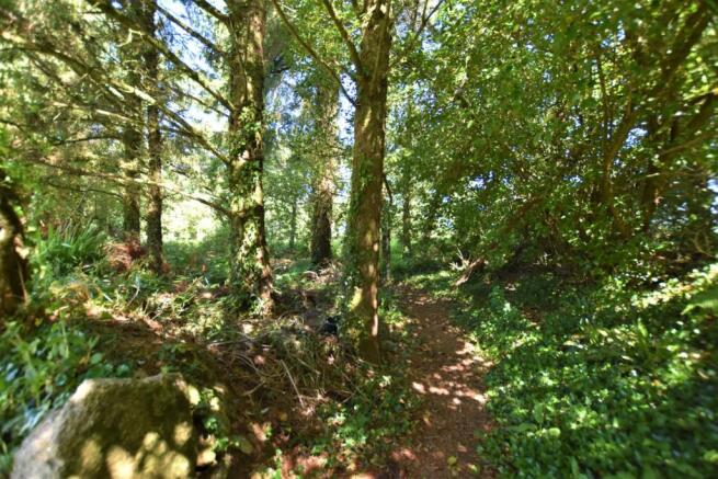 Woodland