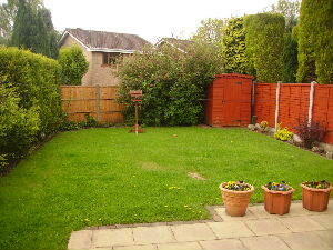 Photo 4
