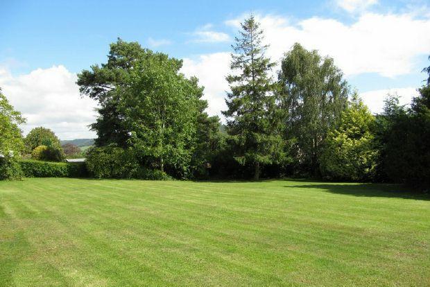 Grounds