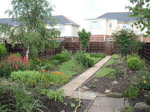 Photo 5