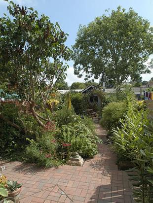 Rear garden from hse