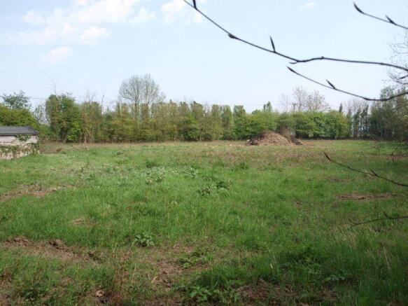 paddock/field