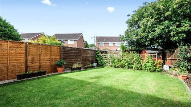 Garden Shot 2
