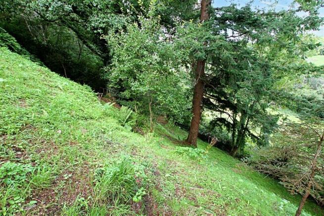 Woodland and gardens