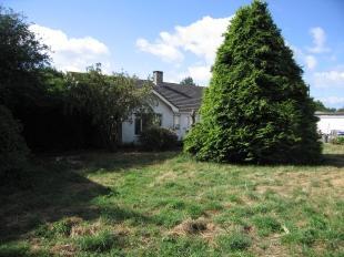 Grounds