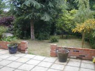 Picture 2