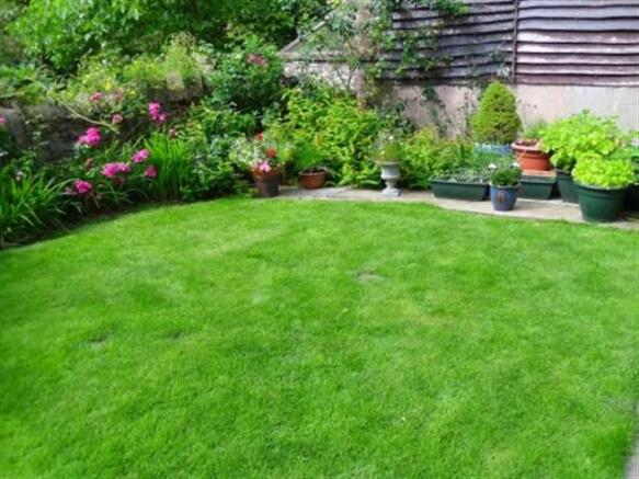 lawn