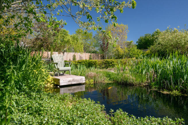 Pond