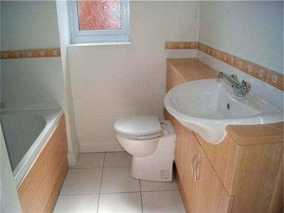 Picture 8