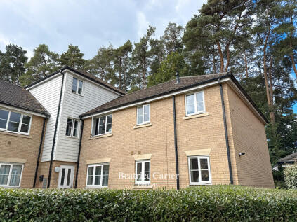 Yew Tree Close, Mildenhall