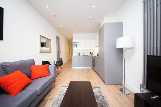 Studio/Kitchen Area