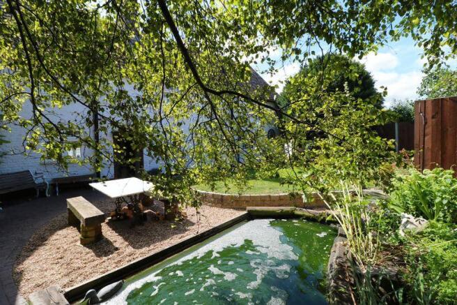 Pond