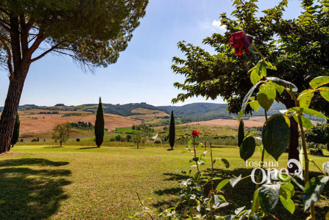 poggio alle talpe -7