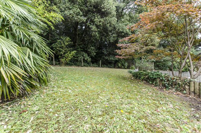 Photo 22