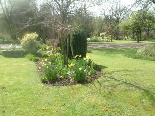 Garden 1