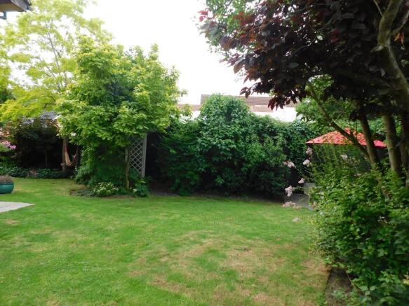 Photo 38