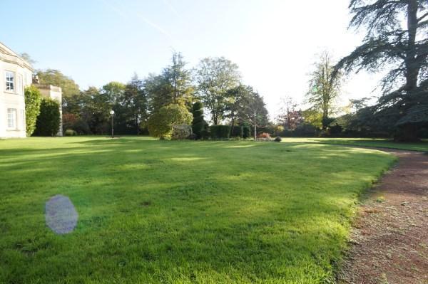 Communal Gardens