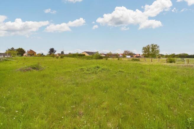 Image 2  Medium  T202508201438.jpg