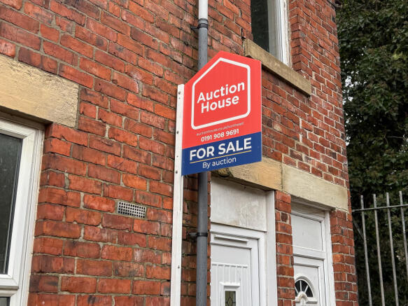 IMG 2278 T202602141810.jpg