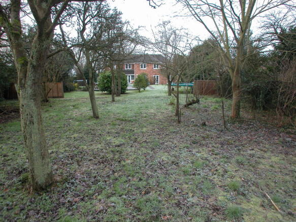Photo 27