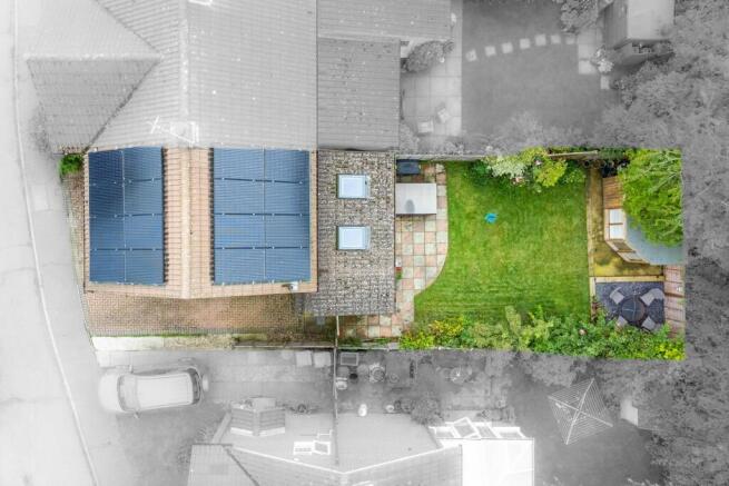 Birds Eye