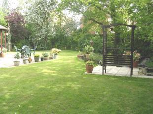 Rear Garden 2